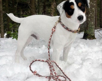 Peppermint Bark Leash for Small Dogs