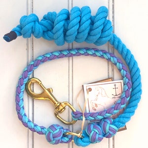 Blueberries Horse Lead