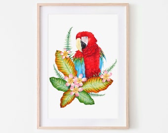 Scarlet macaw art print, macaw bird print, parrot art - A vibrant colourfully print to brighten up anyones day