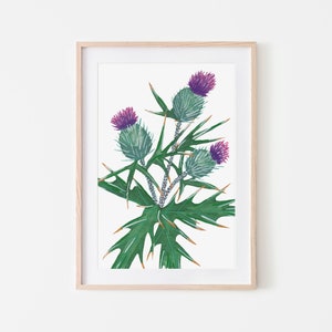 Hand-Painted Thistle Watercolour – Original Botanical Art – Wildflower Painting - A gorgeous little painting perfect for any home