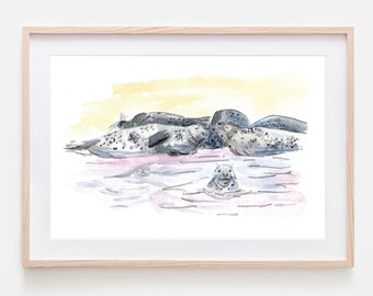 Robbe Art Print, Animal print, Marine Life - Ein schöner bunter Kegelrobben-Kunstdruck, der die Tierwelt ins Haus bringt