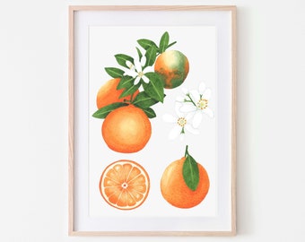 Oranger Kunstdruck, botanischer Druck, Obst-Wandkunst - Ein wunderschöner Aquarelldruck, der sich perfekt für die Unterbringung von Pflanzen eignet