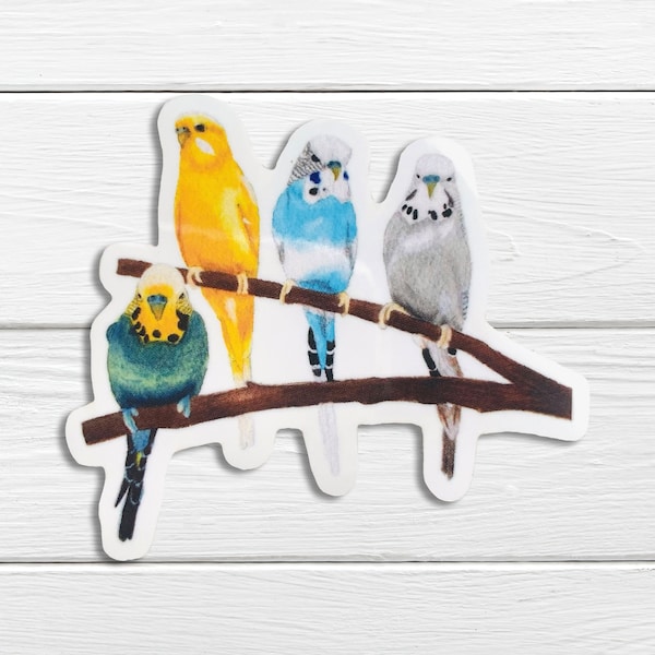 Budgie sticker, bird sticker, vinyl decal - A gorgeous sticker perfect for any budgie fans