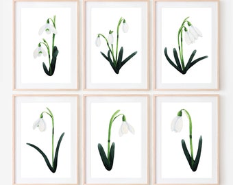 Schneeglöckchen Postkarten Set, Schneeglöckchen Aquarell Druck, weiße Blume - ein wunderschönes Set für die Wanddekoration oder für Freunde oder Familienmitglieder