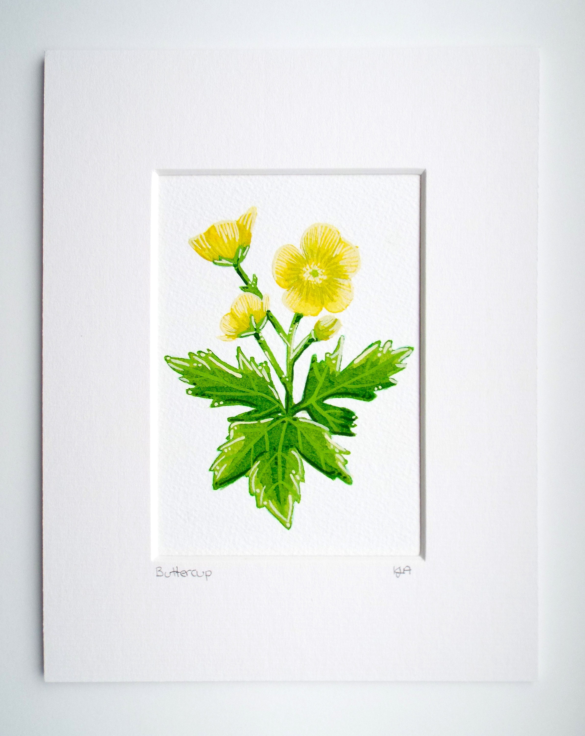 Buttercup flower Painting buttercup gift watercolour floral Etsy