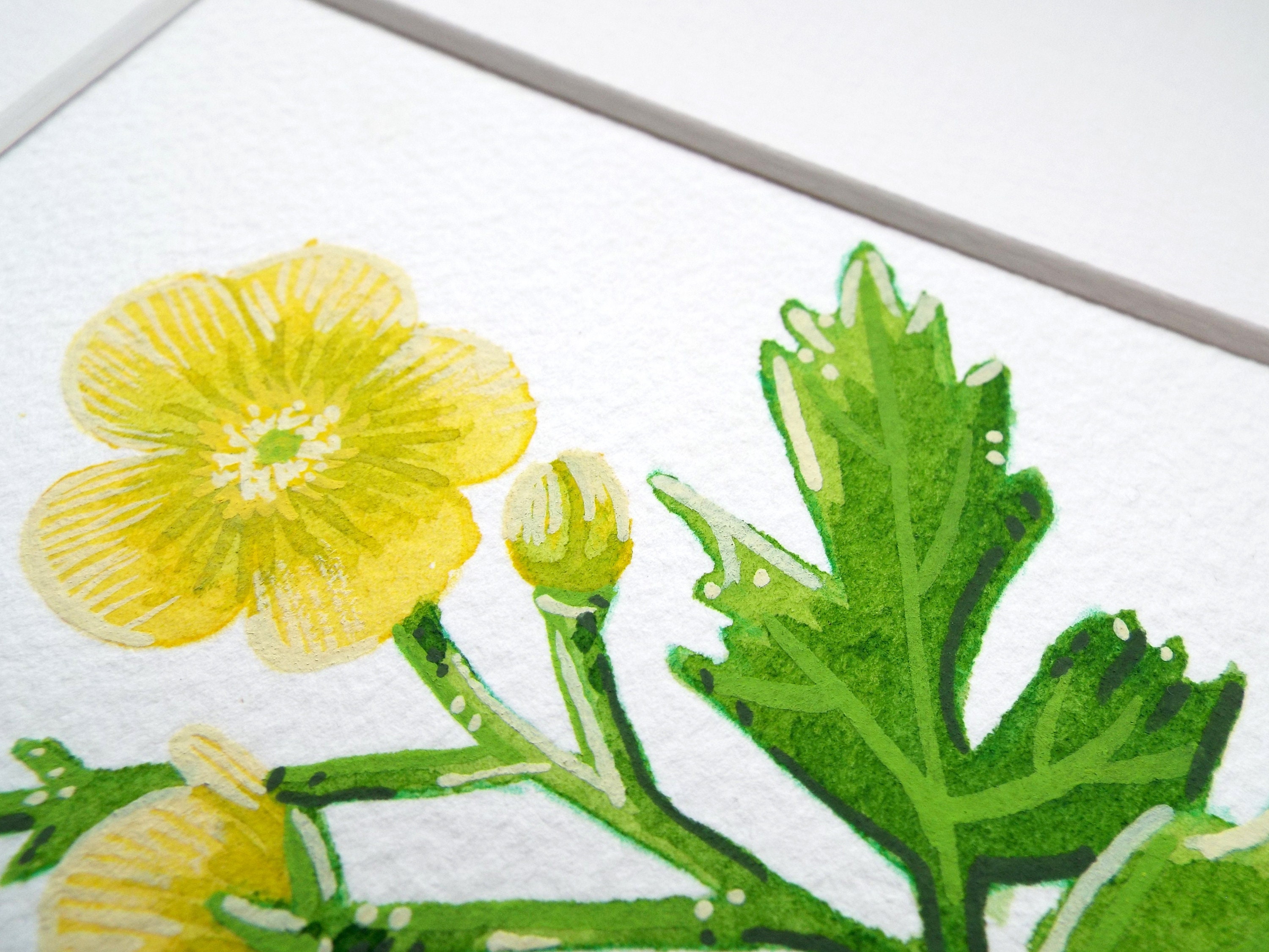 Buttercup flower Painting buttercup gift watercolour floral Etsy