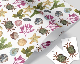 beach combing wrapping paper, sea creature gift wrap, wrapping sheets - A gorgeous wrapping paper to make that gift extra special
