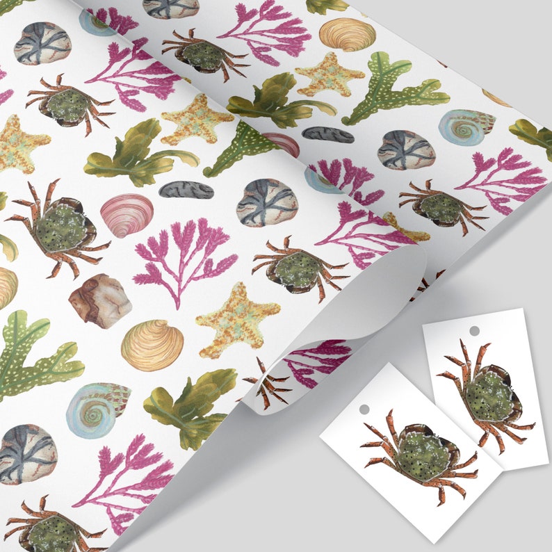 beach combing wrapping paper, sea creature gift wrap, wrapping sheets A gorgeous wrapping paper to make that gift extra special image 1