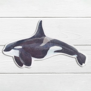 Orca sticker, orca whale, vinyl sticker - a lovely sea life whale sticker to customise any item you wish indoors or outdoors