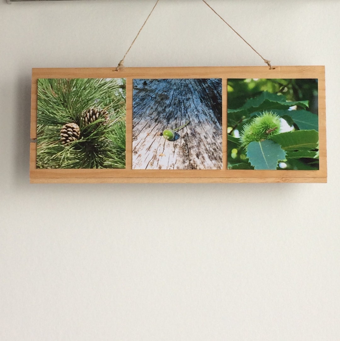 Tree Photo Tree Art Nature Art Wall Hanger Hug a Tree SET Etsy