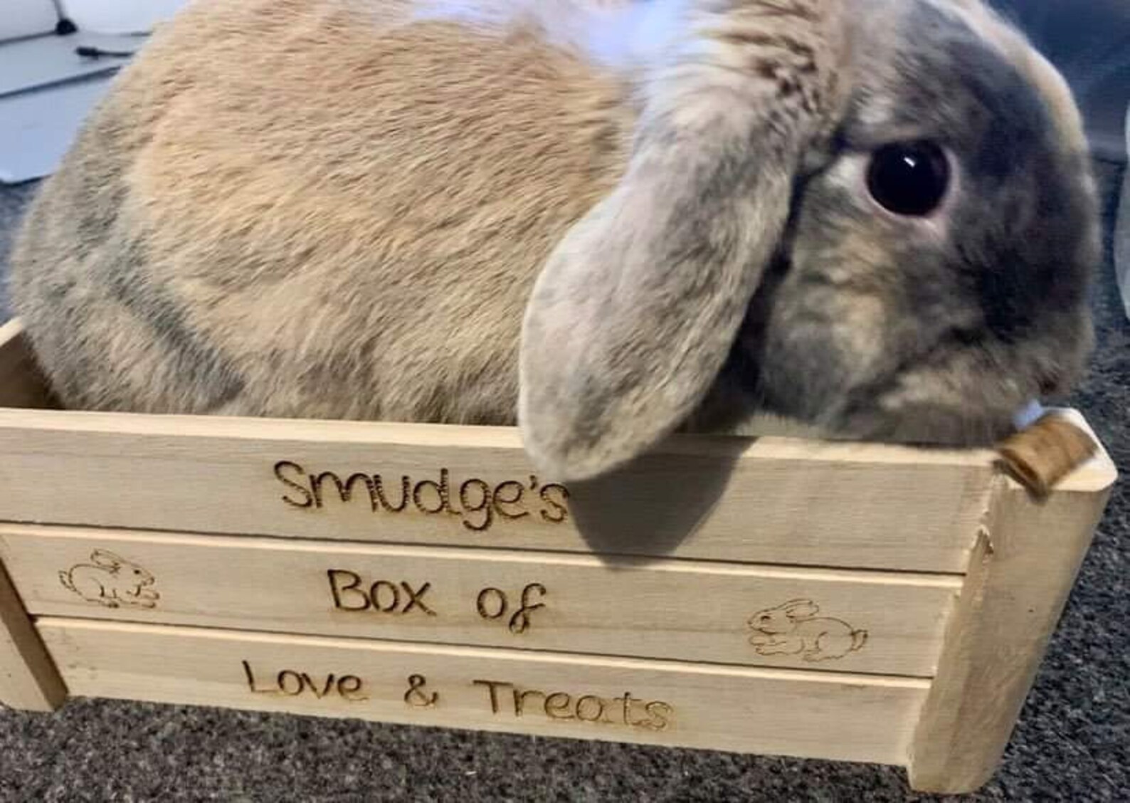 Rabbit & Bunny Gift Personalised Storage Crate for Food Etsy UK