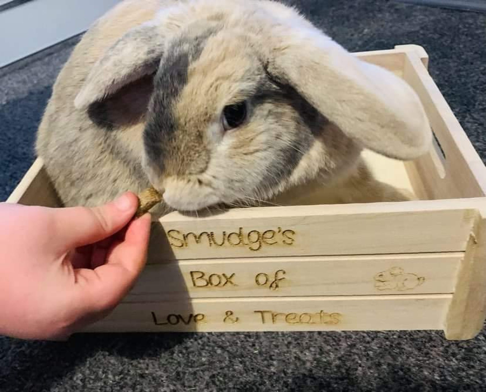 Rabbit & Bunny Gift Personalised Storage Crate for Food Etsy UK