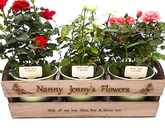 Personalised Gardening gift. Rustic wooden indoor / outdoor planter & 3 plant pots, engraved with name and message. Dad, grandad, grandma