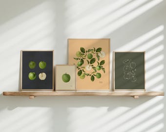 The English Orchard Apple Print Bundle – 4 Botanical Apple Illustrations Collection – Digital Download Wall Art Set