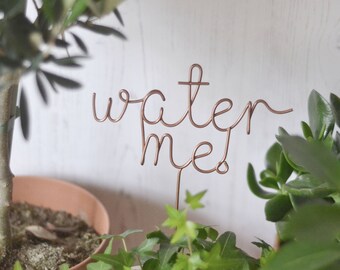 Plant Markers, Water me Plant Topper