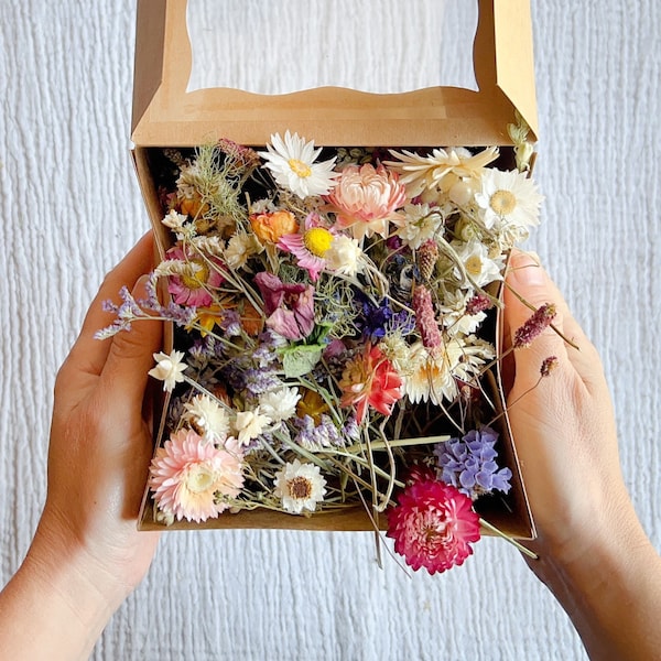 Mélange style fleurs sauvages séchées | Fleurs pour bricolage, gâteaux et décoration