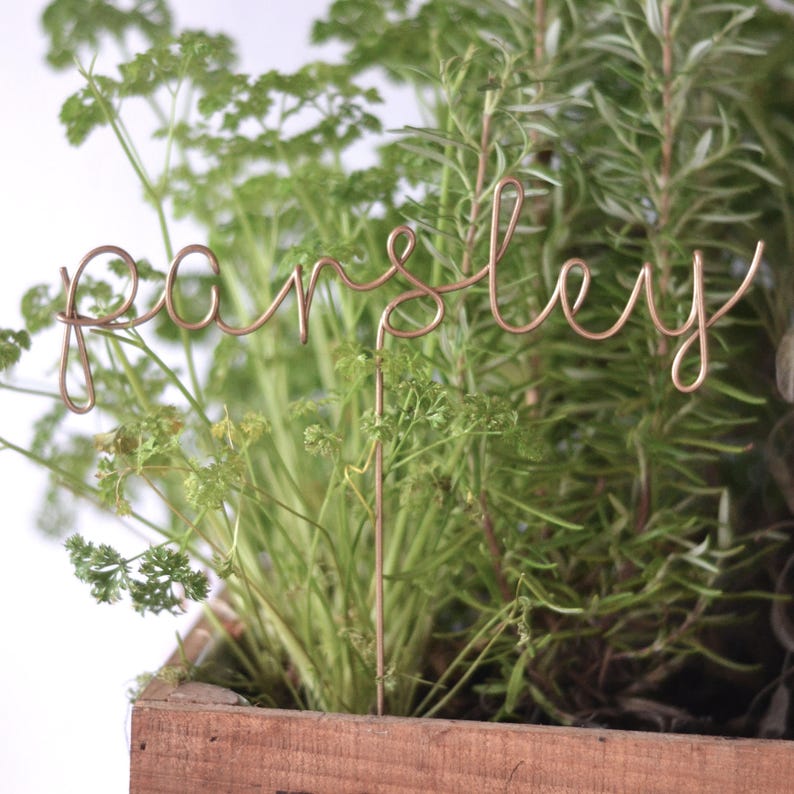 Plant Markers Gift for Gardeners Herb Markers Etsy