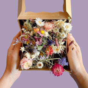 Mélange style fleurs sauvages séchées | Fleurs pour bricolage, gâteaux et décoration