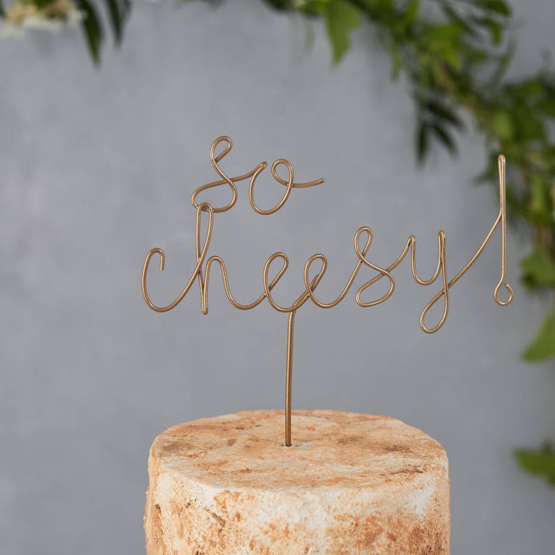 Cheese Cake Topper so Cheesy Cheese Board Funny Cake Etsy