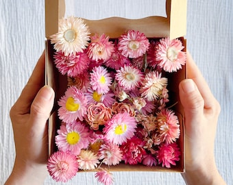 Dried Pink Flower Mix | Flowers for Crafting, Cakes and Decor