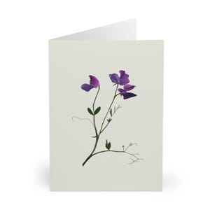 Cartões de felicitações de ervilha-de-cheiro (pacote com 5) - Cartão de aniversário com flores, notas de agradecimento, ecológico, papelaria fofa