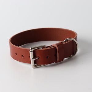 Dark Tan Leather Dog Collar / Kaseta Leather