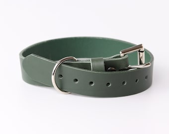 Forest Green Leather Dog Collar / Pooch Collar / Puppy Collar / Kaseta Leather