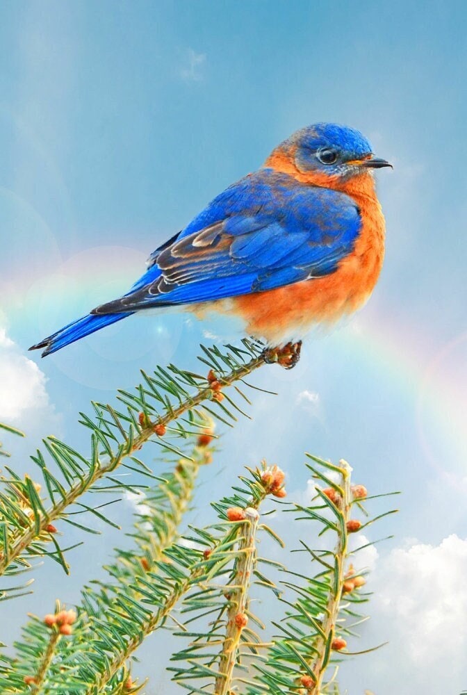 魅力の Oiseau mural art bleu, d'oiseau photo branche, une sur bleu ヘアアクセサリー