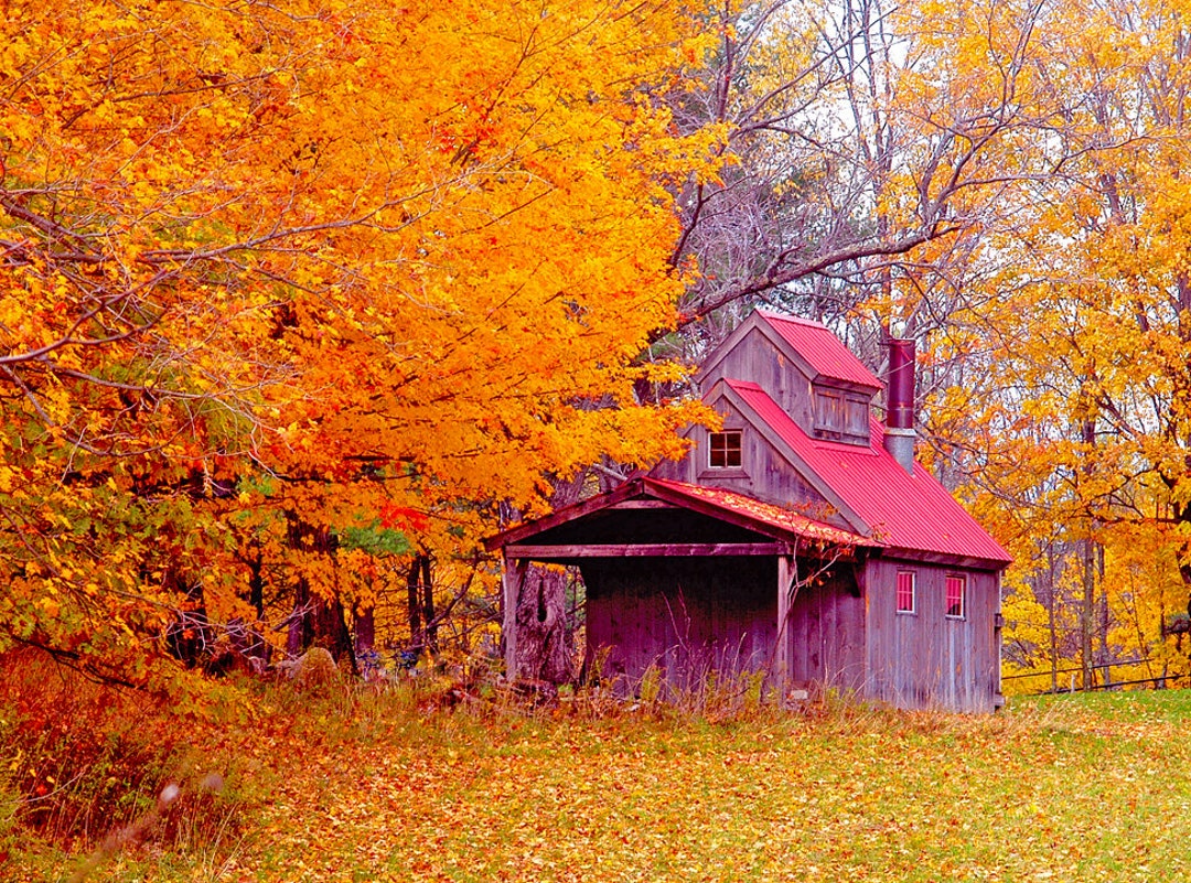 Burke Hollow
