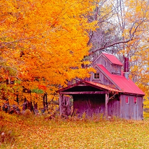 Sugarhouse and Fall foliage, Autumn scenic photo, Fall colors, Vermont scenic photo  Title: &quot;Autumn in Sugar Hollow&quot;