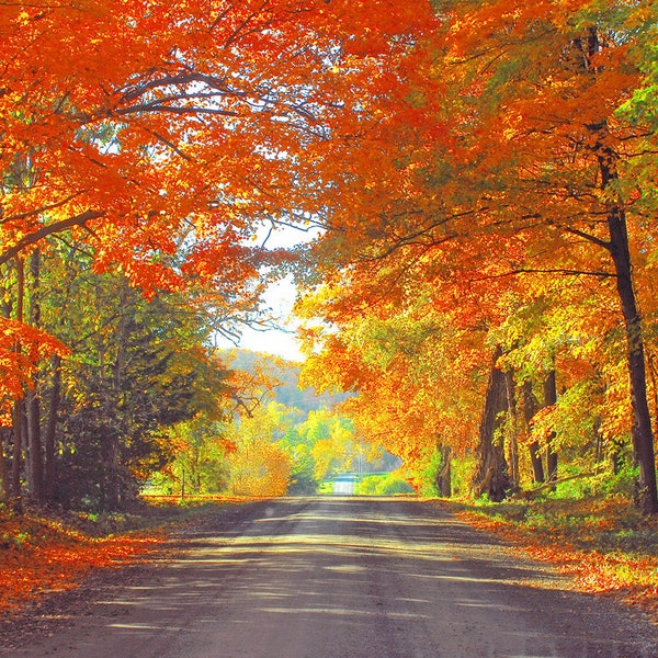 Vt 2024 Calendar - Etsy