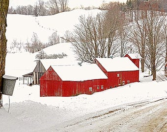 May include: A snowy winter scene with a red barn and a maple tree with sap buckets. The barn has a white roof and is surrounded by snow-covered trees. The maple tree has a thick trunk and is covered in snow. The buckets are hanging from the tree and are filled with sap.