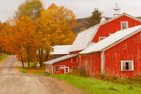 Farm In Autumn Vermont Scenic Red Barn And Fall Foliage Etsy