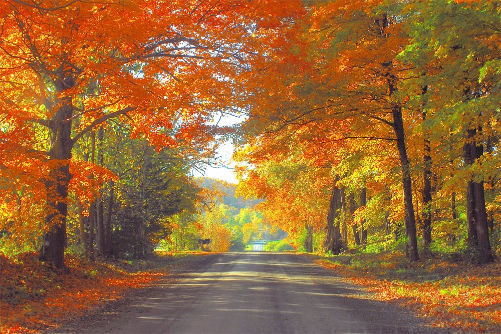 Fall Foliage and Dirt Road Fall Scenic Photo Rural Vermont - Etsy Canada