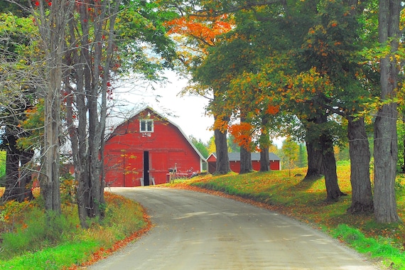 Vintage Red Barn in Autumn, Vermont Scenic Photo, Barton VT, Maple