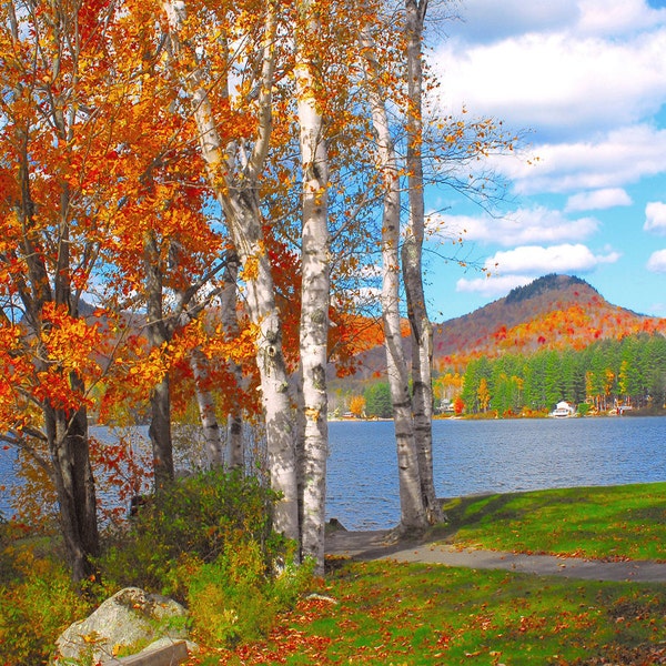 Fall foliage photo, autumn scenic photo, Groton State Forest, Lake Groton  Title: "Looking Toward Big Deer"