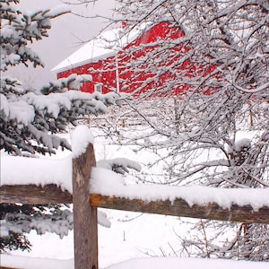 Addison VT, farm after snowfall, split-rail fence in winter setting, red barn in snow, for nature lovers, Title: "Nor'easter's Aftermath"