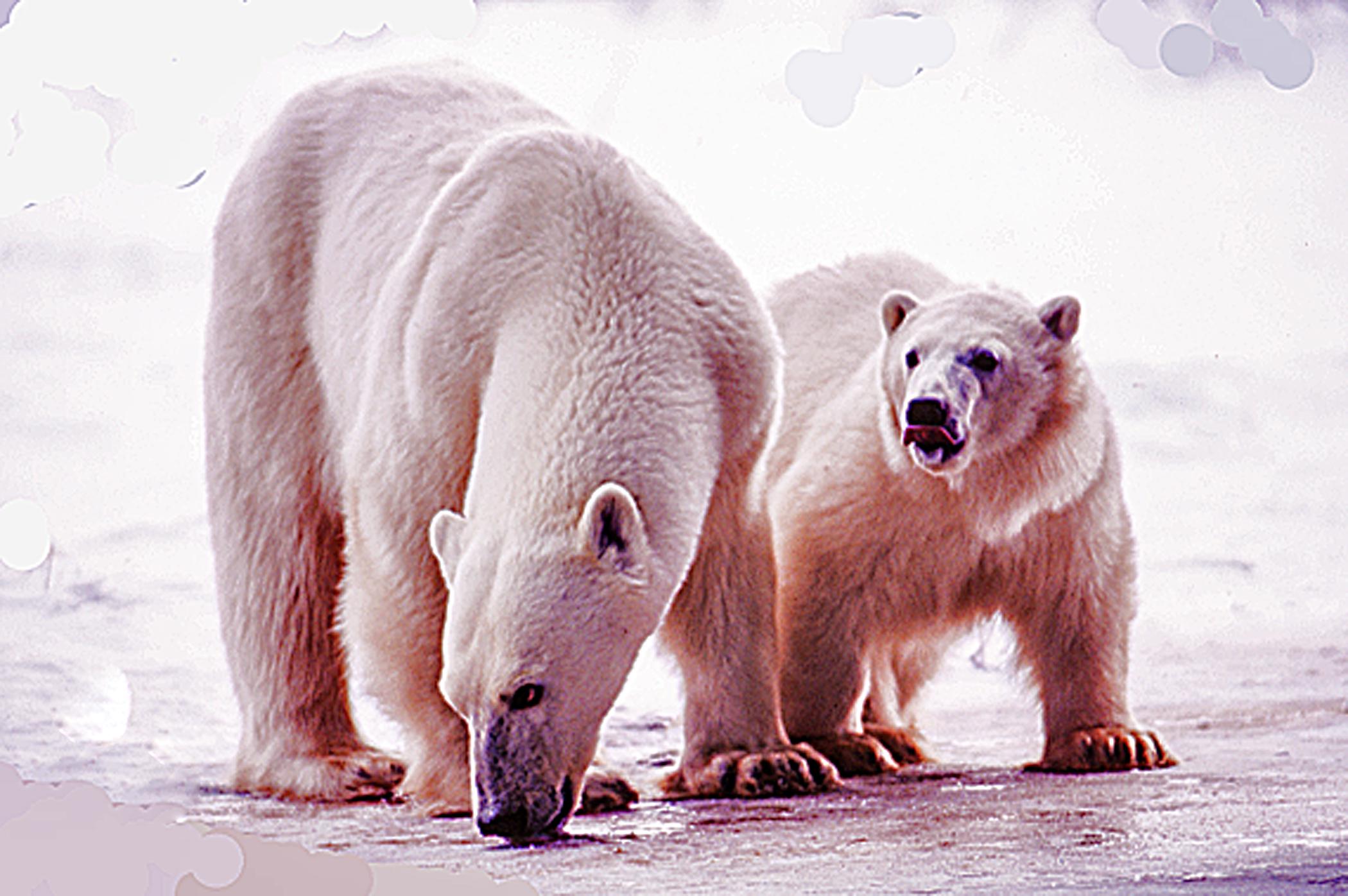 200+] Panoramic Desktop Wallpapers | page 3 | Wallpapers.com, image size:2100x1396