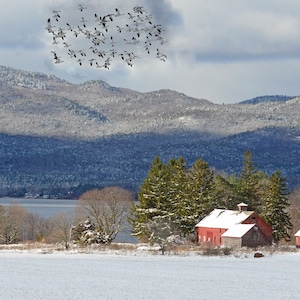 Addison VT, Lake Champlain, Champlain Valley. Adirondack Mts, Snow Geese,  rural Vermont in winter, for nature lovers, Title &quot;Transitioning&quot;