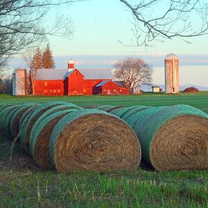 Vermont scenic, Champlain Valley, rural setting, sunrise on red barn, hay bales and farm setting, Spring in VT, Title: &quot;At Last !&quot;