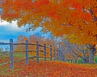 Robert W. Ney 秋の風景 アンティーク Robert W. Ney 秋の風景 アンティーク