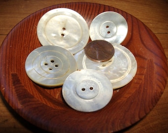 7 Large vintage Shell Buttons • off white tones