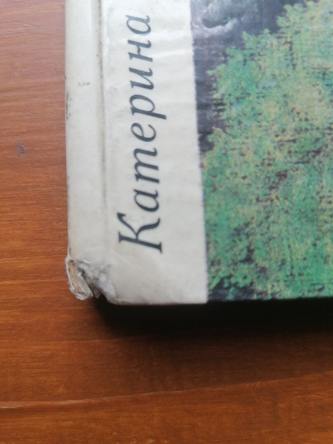 Kateryna Bilokur Art Book Ukrainian Artist Paintings Album Etsy