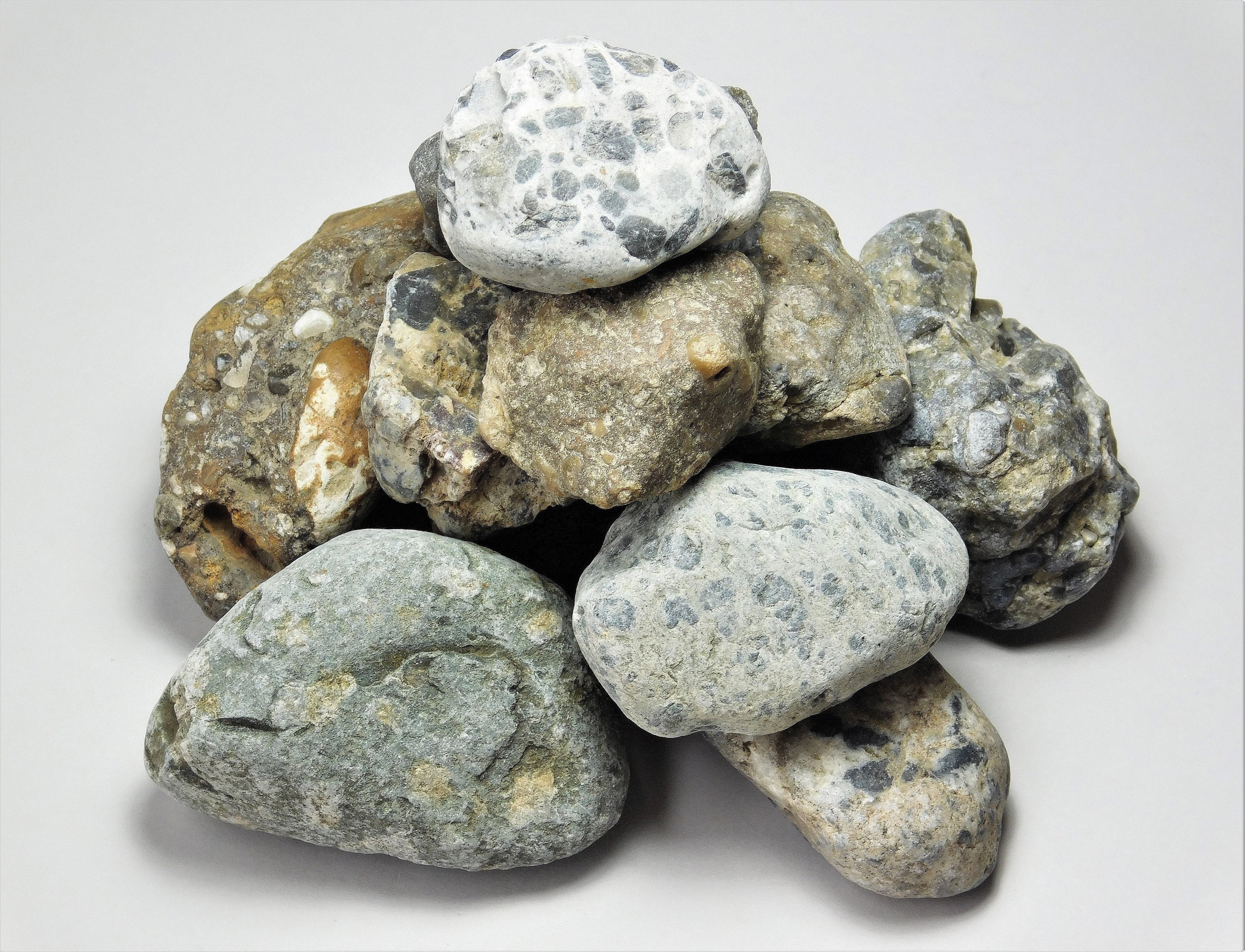 Natural Beautiful Large XXLarge Raw Brown Gray Conglomerate