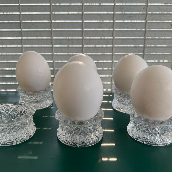 Glass Egg Holder Etsy