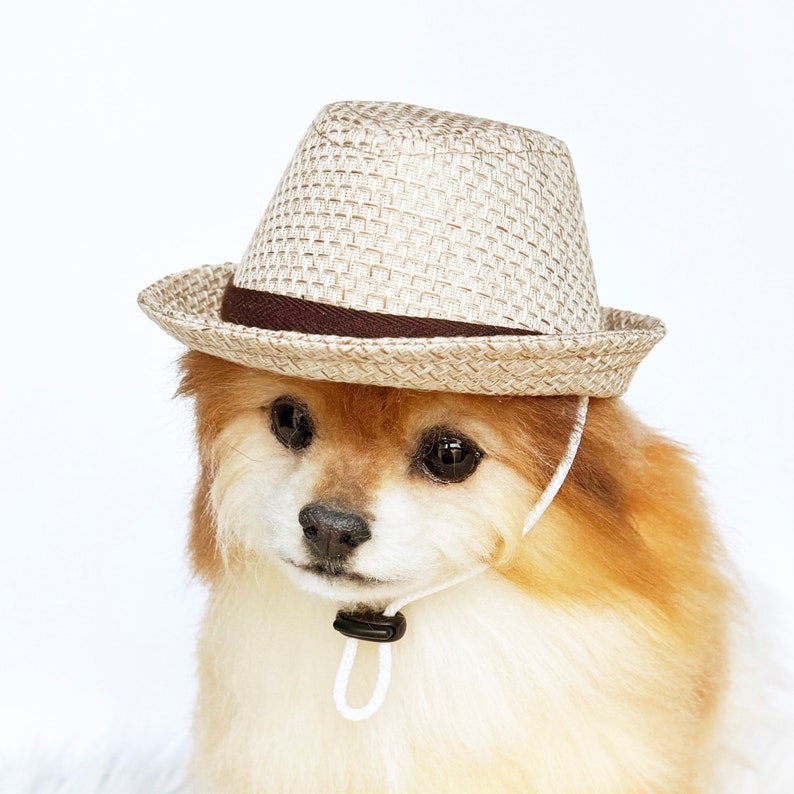 Straw Fedora for DOGS, CATS HANDMADE dog hats, tan dog caps, summer panama hat, cat cowboy hat, sun visor hat, pet accessories, dog hoodies image 1