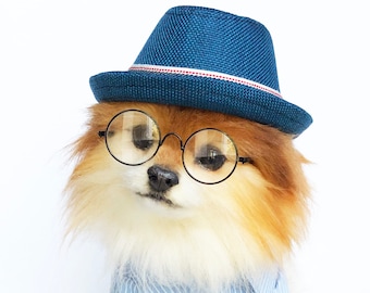 Fedora for DOGS, CATS! HANDMADE dog hats, dog caps, summer hat, cowboy hat, sun visor hat, sun hat, pet accessories, dog hoodies, dog outfit