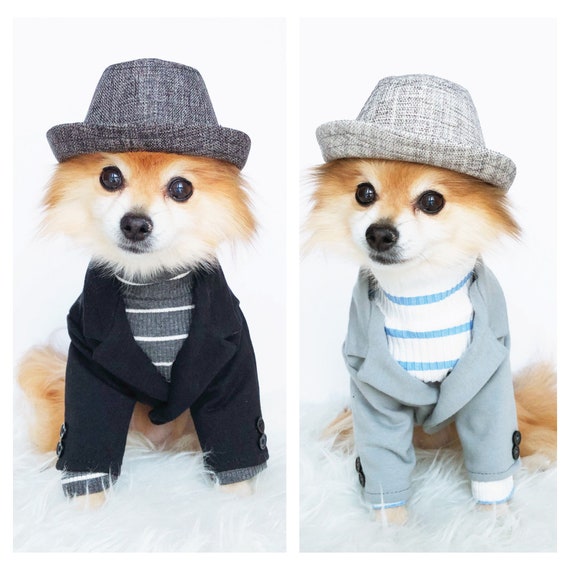 Dog Soft Knit Blazers chaquetas perros trajes para -