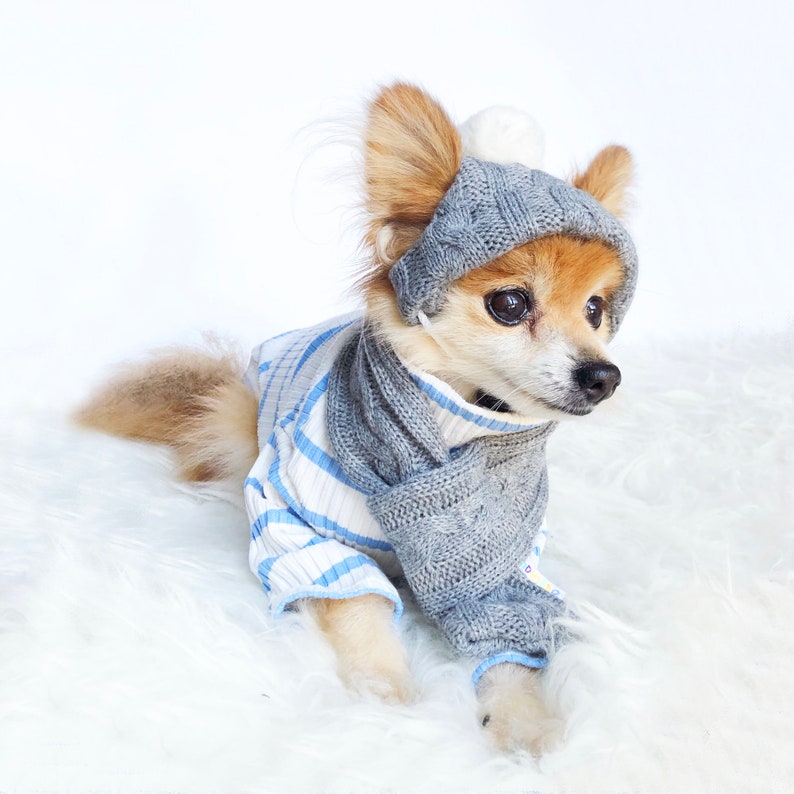 Dogs Winter Beanie Scarf Set HANDMADE Dog Hats Dog Caps Etsy