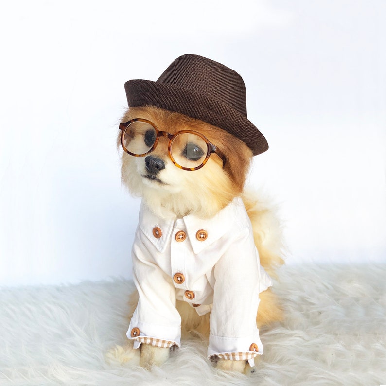 Fedora for DOGS, CATS HANDMADE dog hats, dog caps, summer hat, cowboy hat, sun visor hat, sun hat, pet accessories, dog hoodies, dog outfit image 5